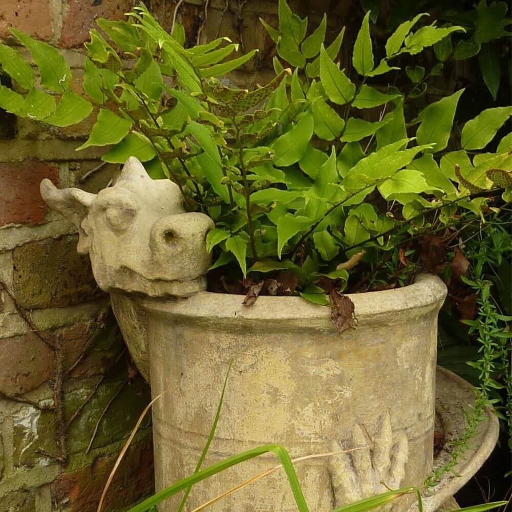 Chimney_pot_dragon_planter